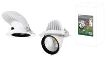 Светильник встраиваемый поворотный "Акцент-1" LED DSL-01-040-NW 40 Вт, 24°, 4000 К, 90 Ra, IP40, TDM