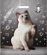 Пакет ПВД с вырубной ручкой 40х47 45мкм Шалун (50/500)