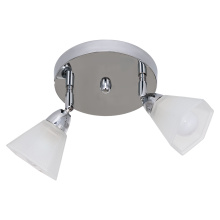 Спот потолочныйЭкономСвет 116/2CR WT 2xE14