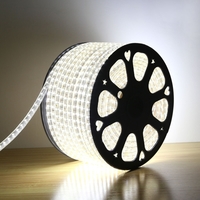 Лента диод 220В IP67  4.8Вт/м 6500К 2835 60LED/м 50м General 6х9,5мм (50)