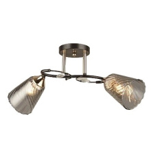 Люстра эконом ЭкономСвет 12217/2BK+FGD GR