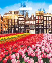 Пакет ПВД с вырубной ручкой 38х45 60мкм Весна в городе (25)