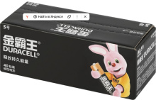 LR 6 Duracell Basic CN 40Box (480)