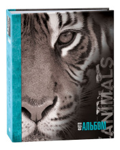 100 фото 10*15 IA Тигр 265 (24)