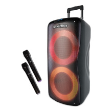 Колонка порт Bt SmartBuy 5210 W1 100Вт MP3(USB/microSD)/FM/AUX, 2микр подсветка черный