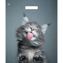 Пакет ПВД с вырубной ручкой 38х45 60мкм Кот (50)