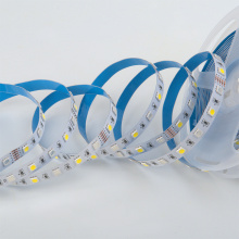 Лента диод 12В IP20 14.4Вт/м RGB+4000К 5050 60LED/м 360Лм/м 10мм 5м General