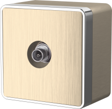 Розетка Werkel Gallant TV шампань рифл (10)