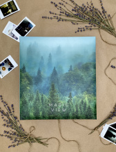 Магнит 50л Полином 23*28 кольца Magic view Туман (12)