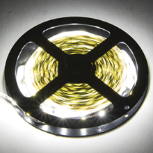 Лента диод 12В IP20 19Вт/м 6000К 5050 60LED/м 1200Лм/м 10мм 5м Ecola Pro (20)