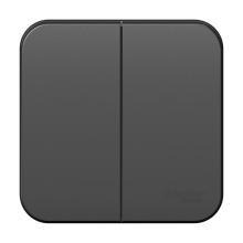 Выкл Blanca 2-ОП изол пластина антрацит (15/30)