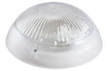 Св-к антиванд Е27 TDM НПП 03-100-010.11 100Вт Сириус металл IP54 (7)