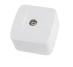 Роз. TDM Дача TV бел. (10/100)