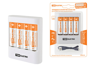 З/у TDM 3044Н 300mA 4 слота R3, R6 2канал+4*R6 2500 USB (1/100)